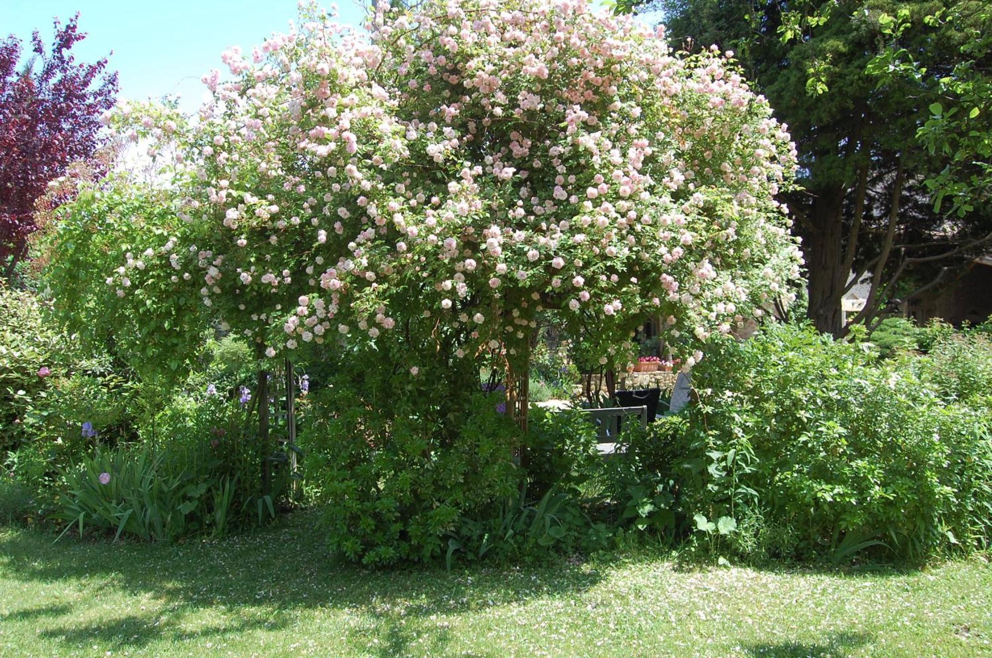 Le Mas Des Clots Bed & Breakfast Upie Exterior photo